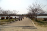 昆陽池橋からの風景写真